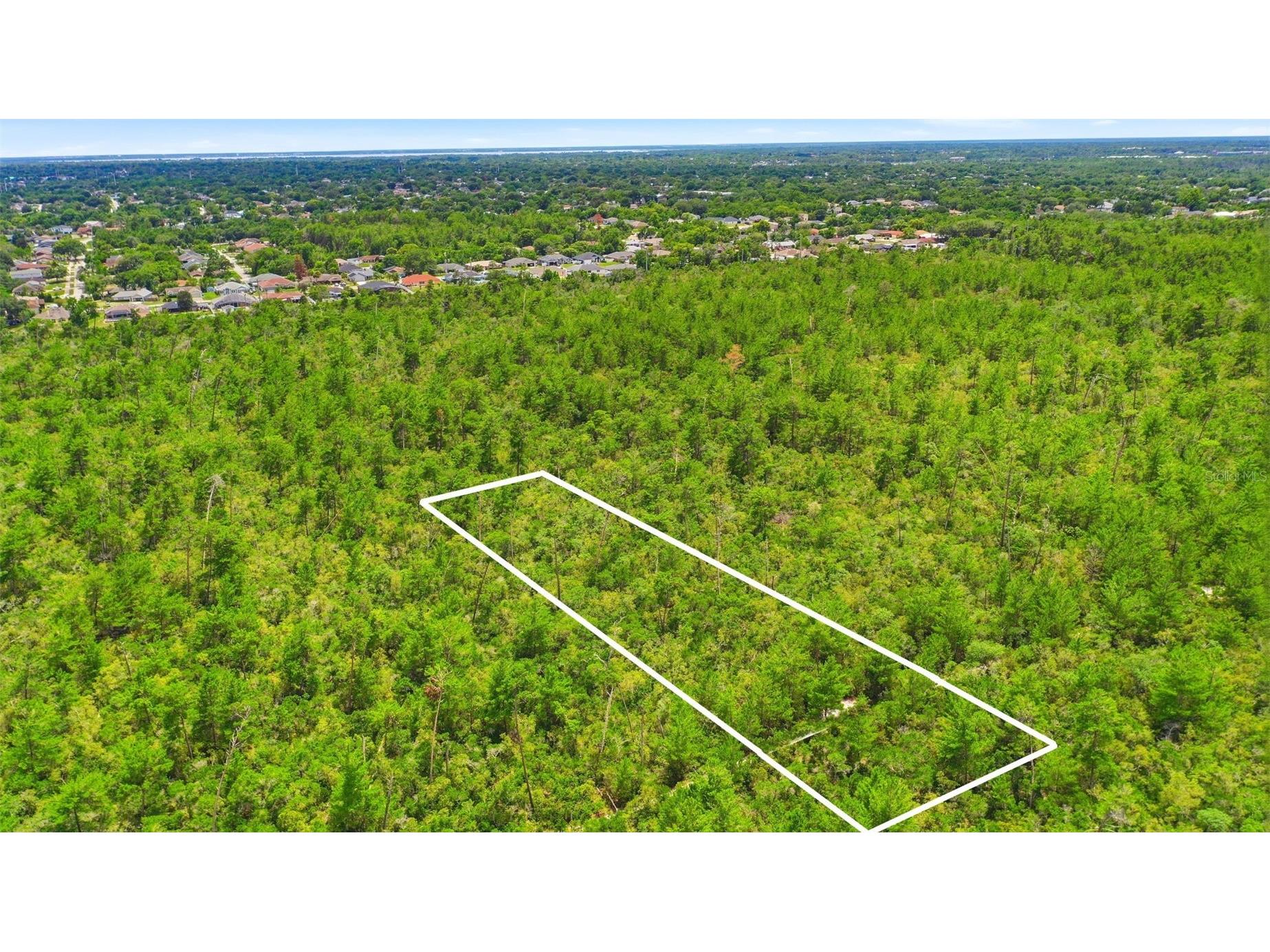 Amelia (Paper) Avenue Deltona FL 32725 O6415995 image11