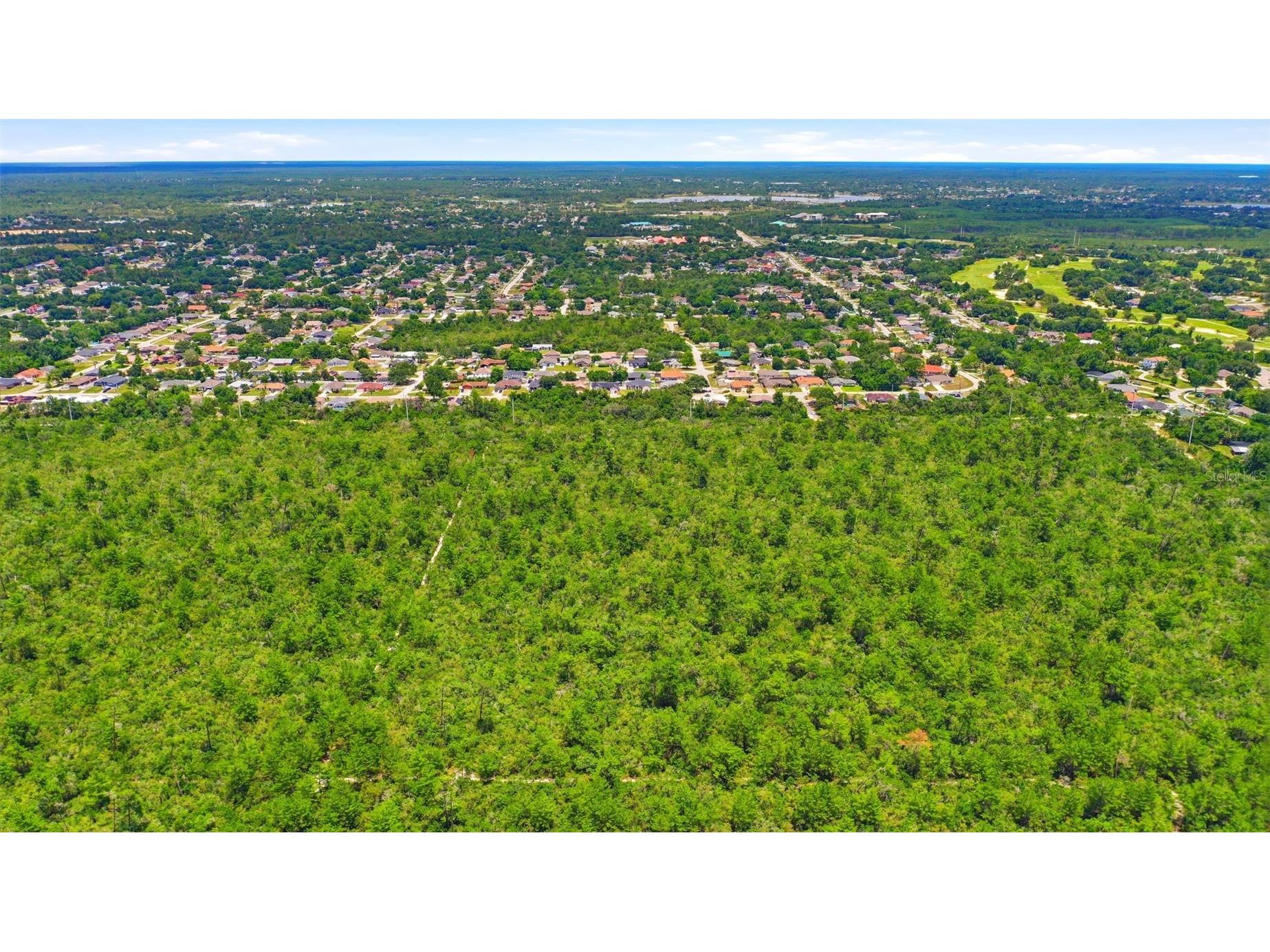 Amelia (Paper) Avenue Deltona FL 32725 O6415995 image4