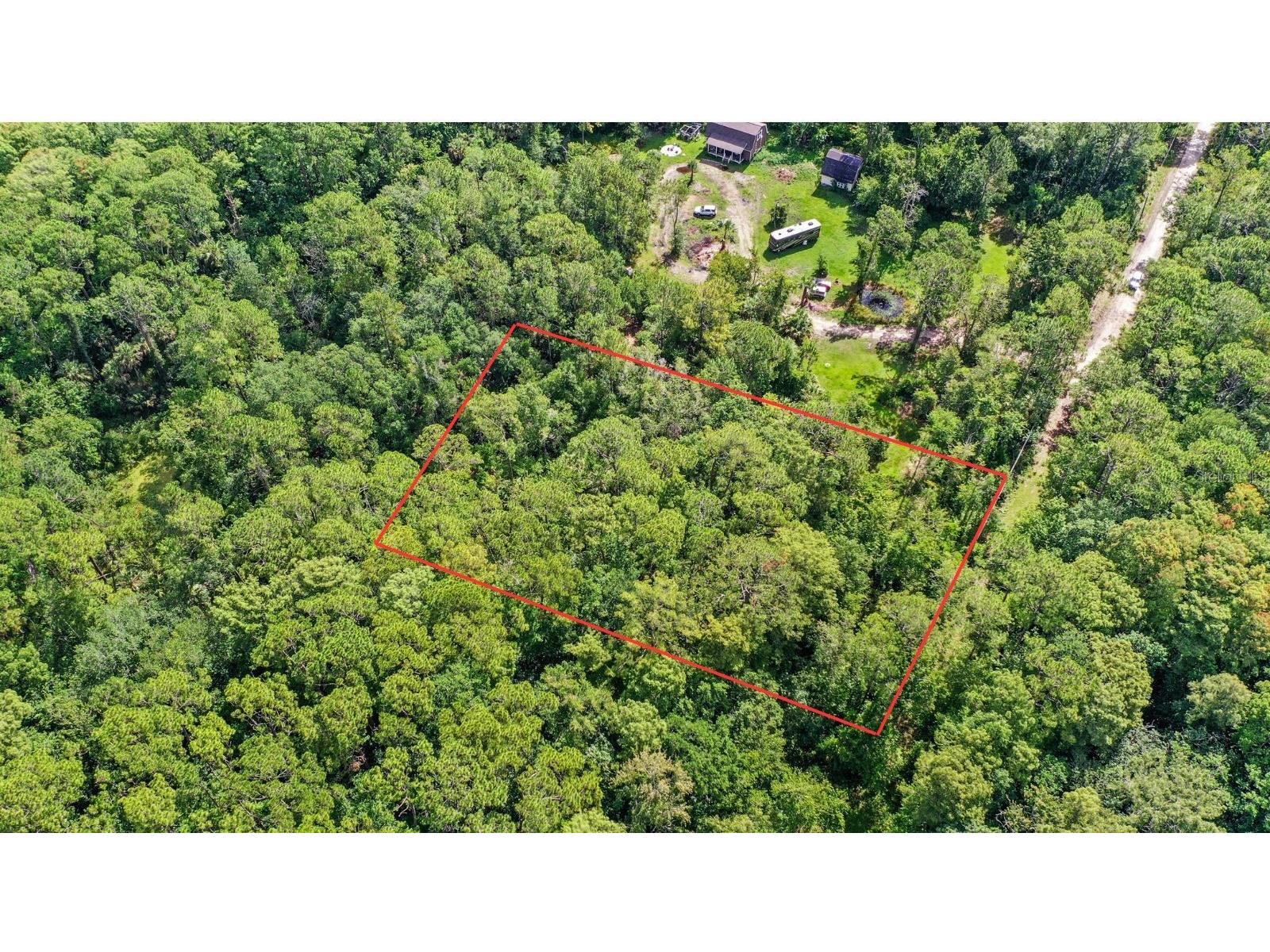 Amelia Trail Kissimmee FL 34747 O6319328 image1