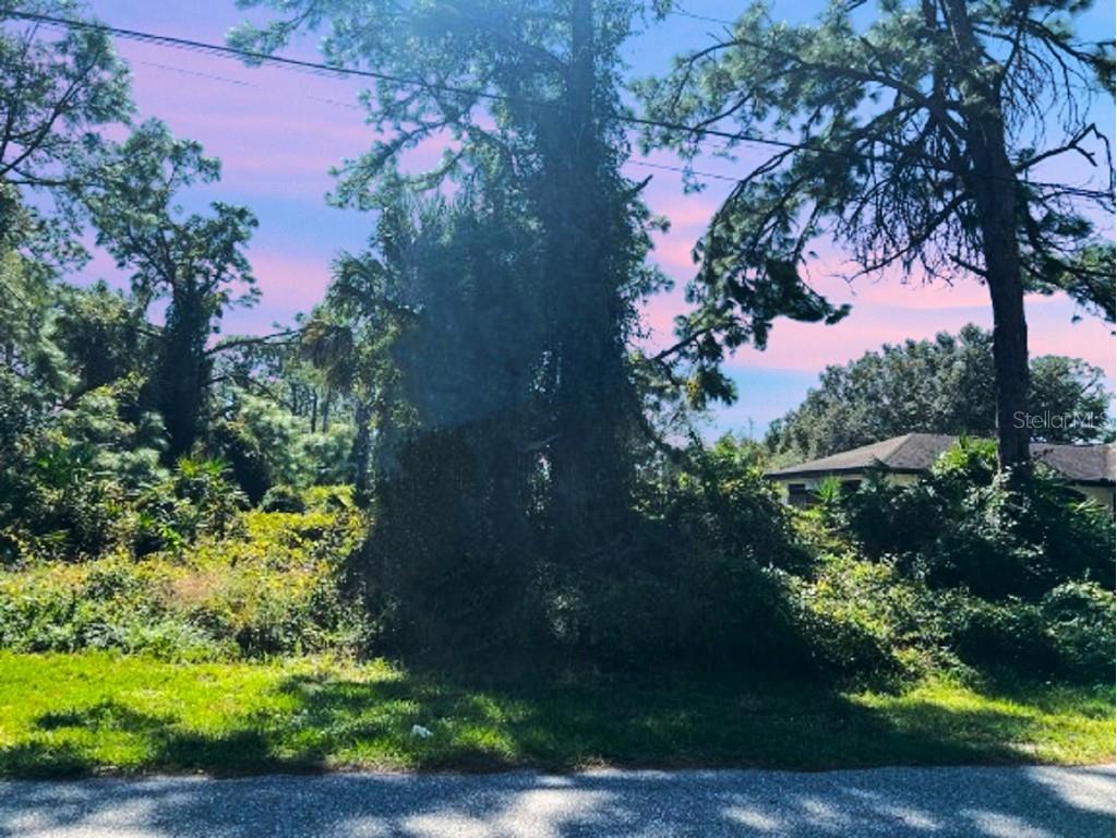 Amendola Avenue North Port FL 34291 C7503582 image1