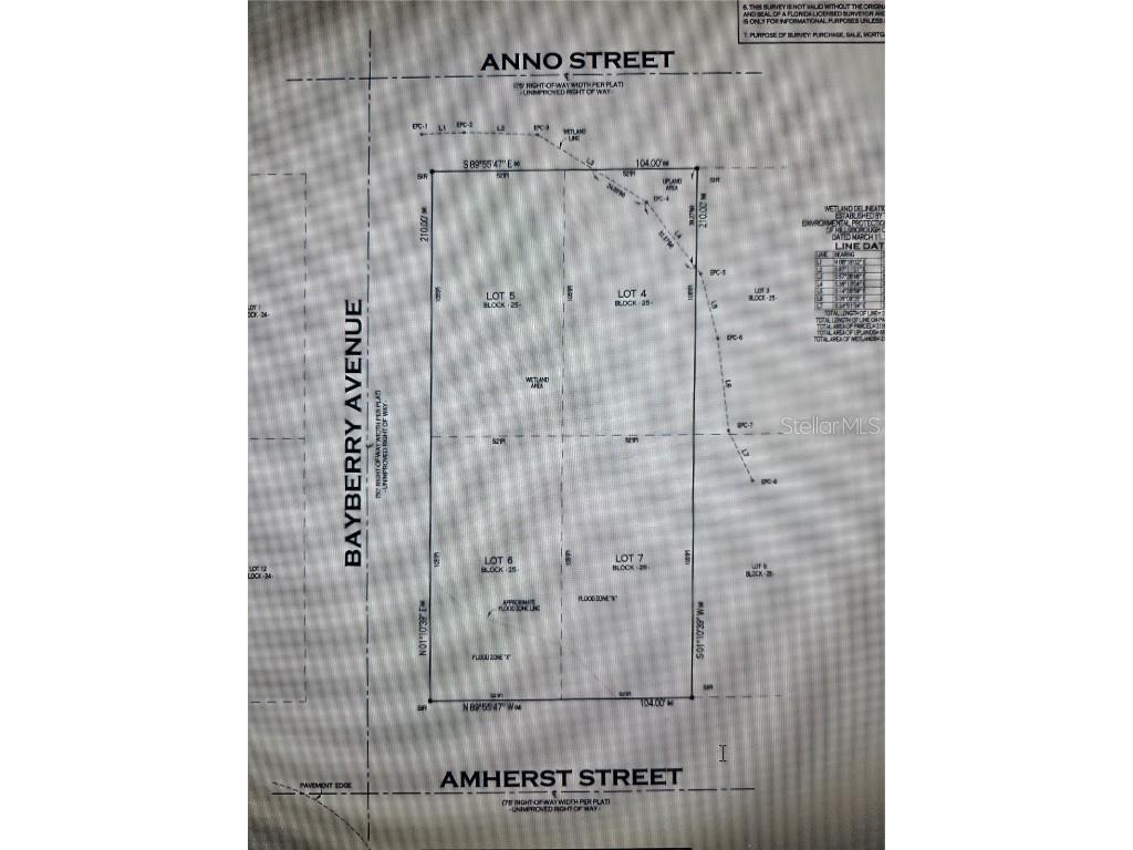 Amherst Street Tampa FL 33625 W7855706 image1