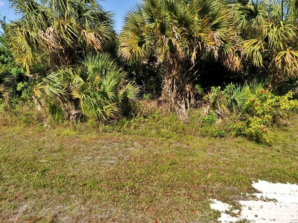Amnesty Drive North Port FL 34288 C7502900 image1