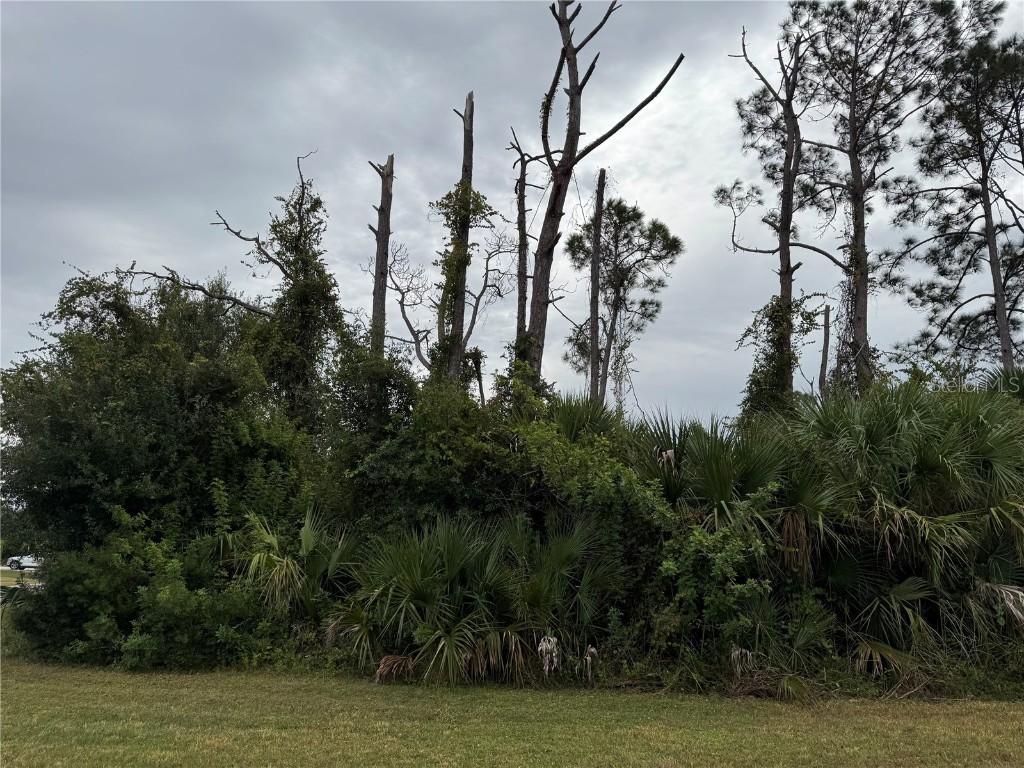 Amnesty Drive North Port FL 34288 C7517371 image1