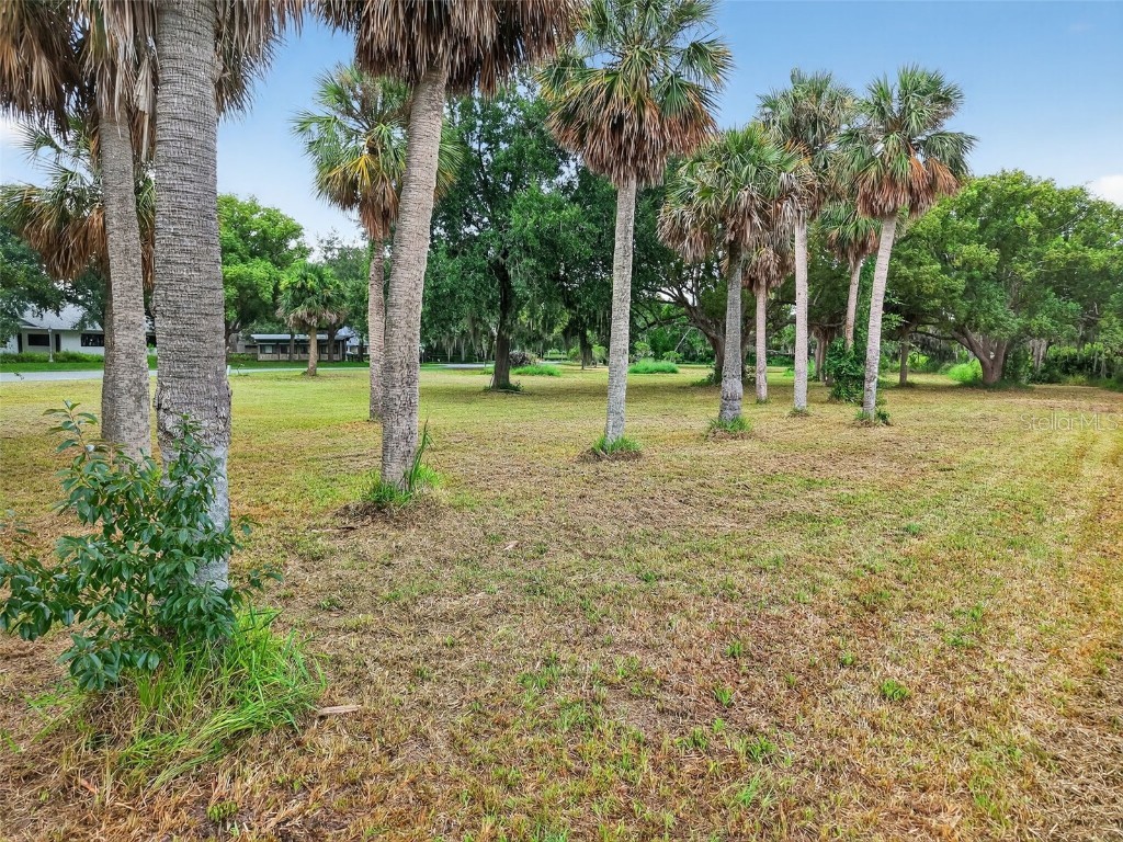 Amvets Way Mount Dora FL 32757 - LAKE SAUNDERS G5101912 image7