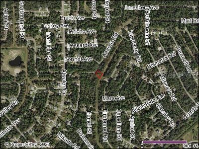 Ananas Road North Port FL 34288 C7484406 image1