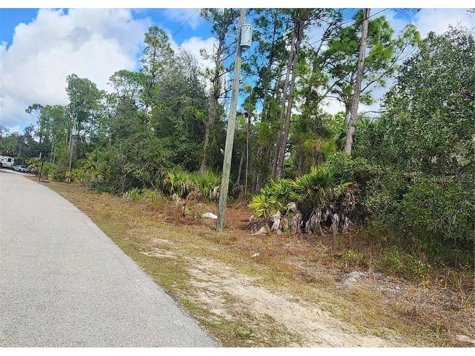 Ananas Road North Port FL 34288 C7519623 image2