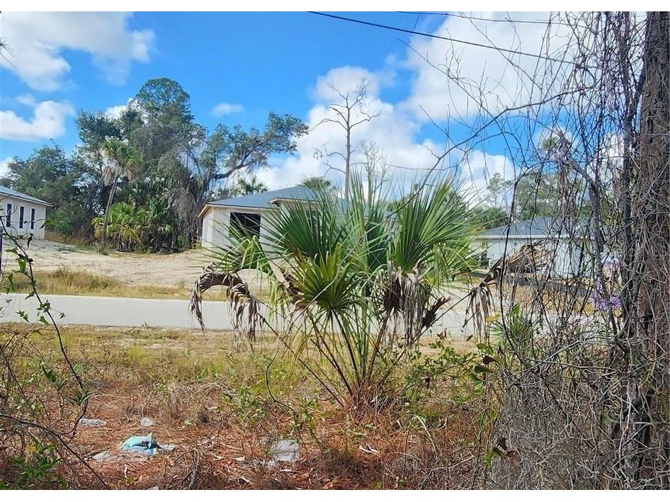 Ananas Road North Port FL 34288 C7519623 image3