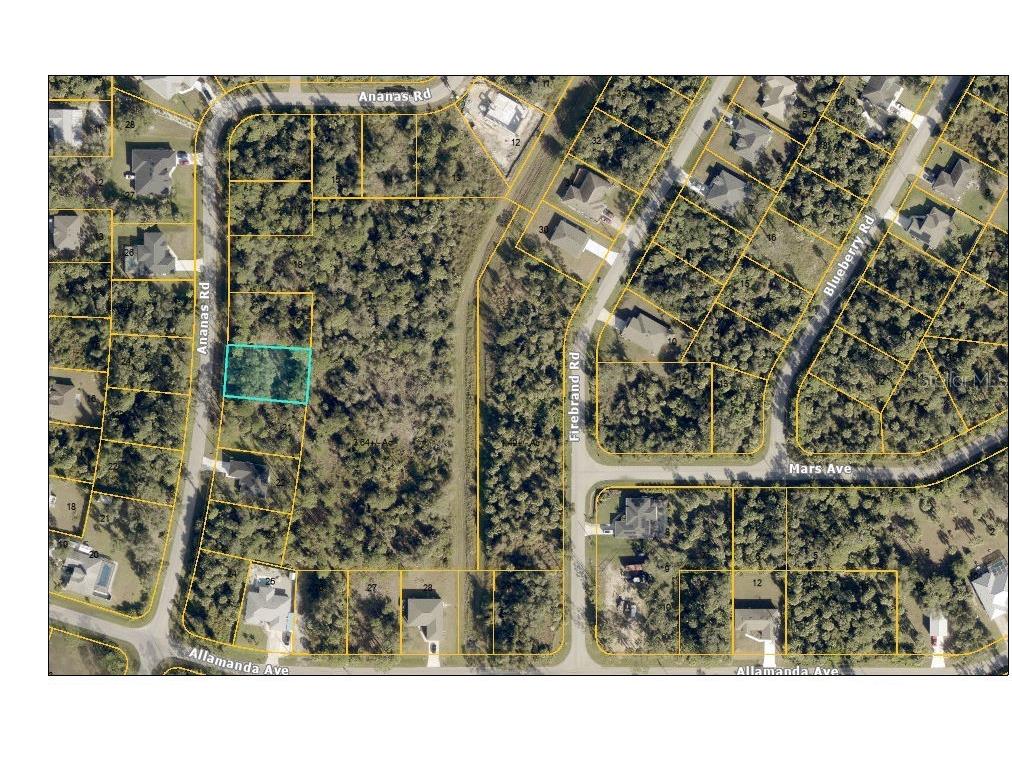 Ananas Road North Port FL 34288 C7519623 image5