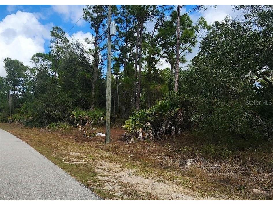 Ananas Road North Port FL 34288 C7519623 image6