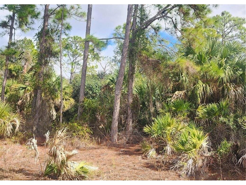 Ananas Road North Port FL 34288 C7519623 image7