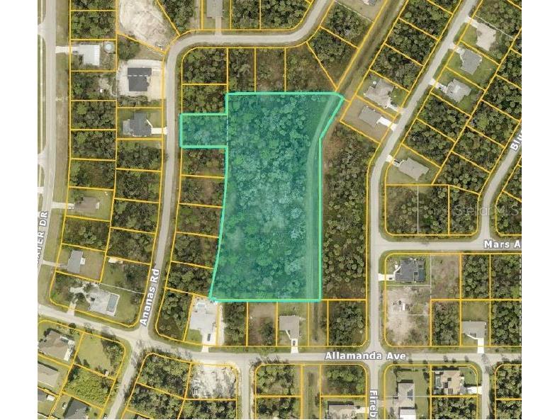 Ananas Road North Port FL 34288 C7520957 image1
