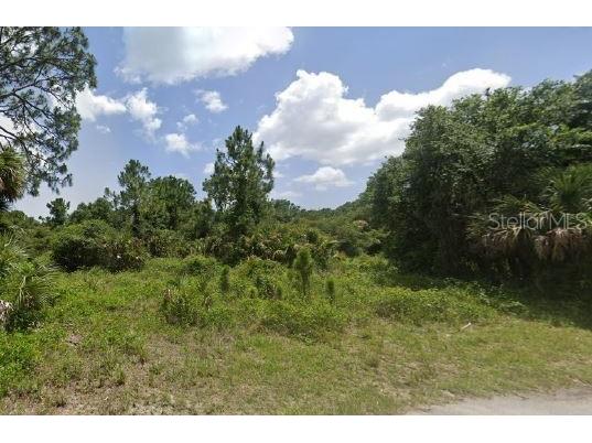Ananas Road North Port FL 34288 C7520957 image3