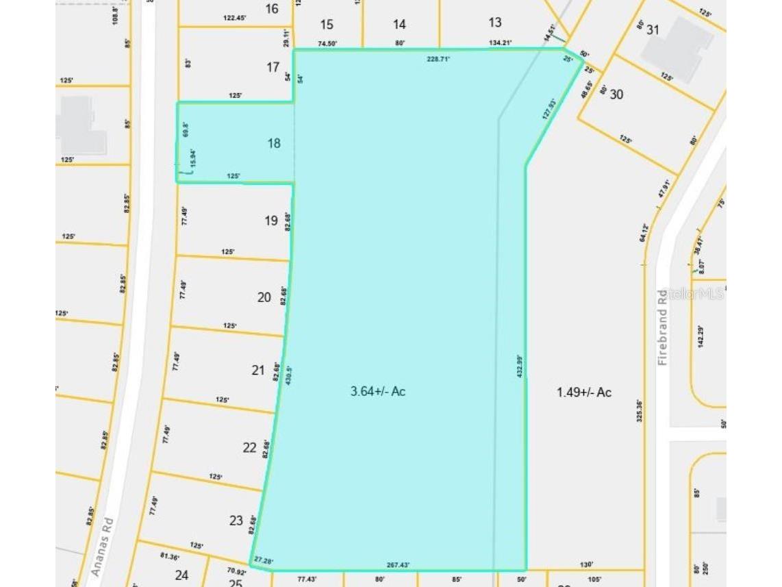 Ananas Road North Port FL 34288 C7520957 image6