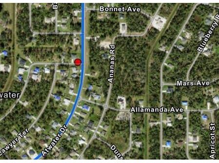 Ananas Road North Port FL 34288 C7520957 image7