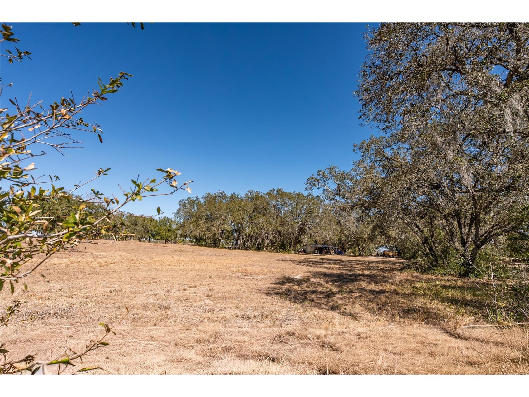 Anderson Lane Lady Lake FL 32159 C7521355 image7