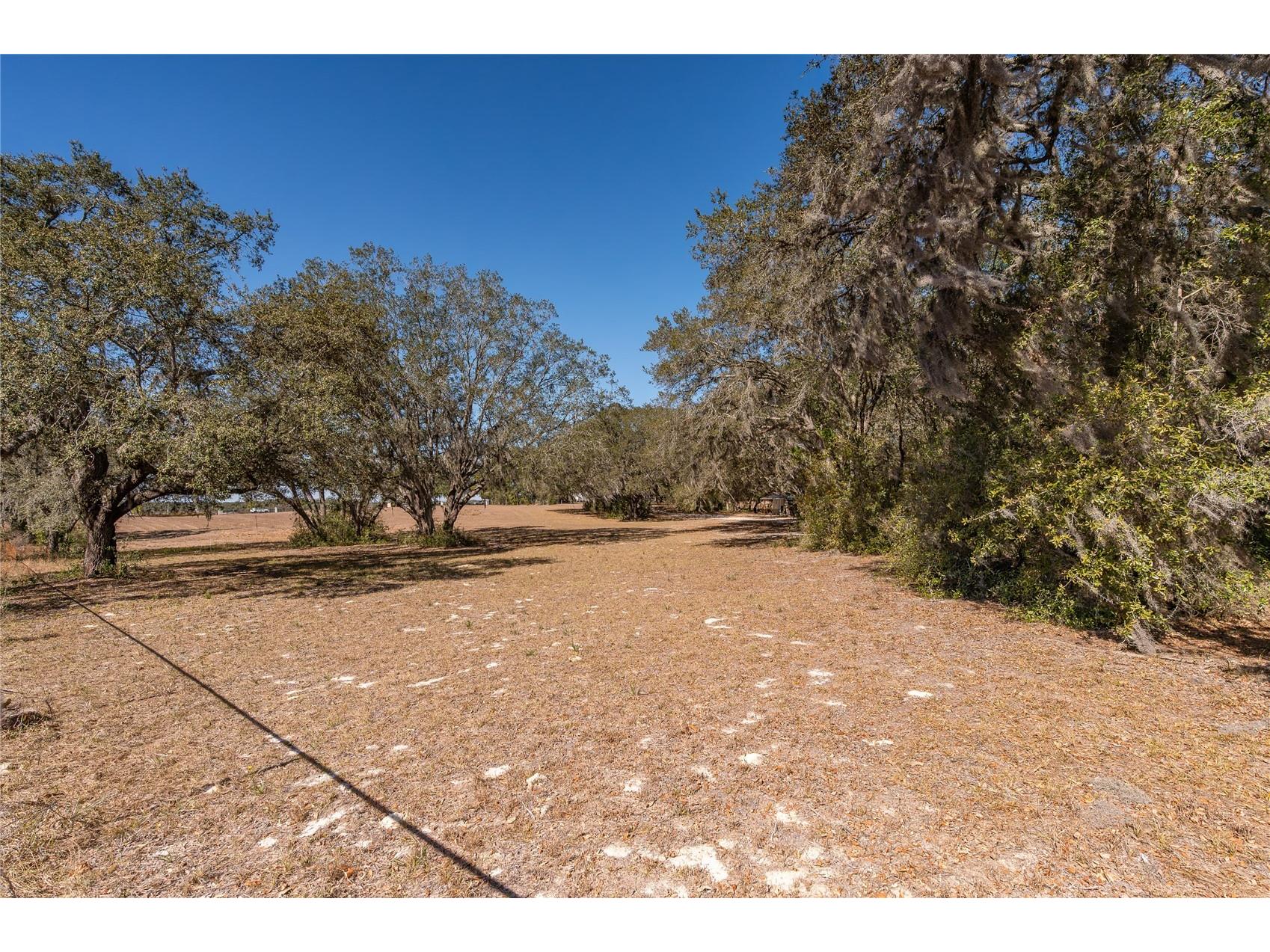 Anderson Lane Lady Lake FL 32159 C7521355 image8