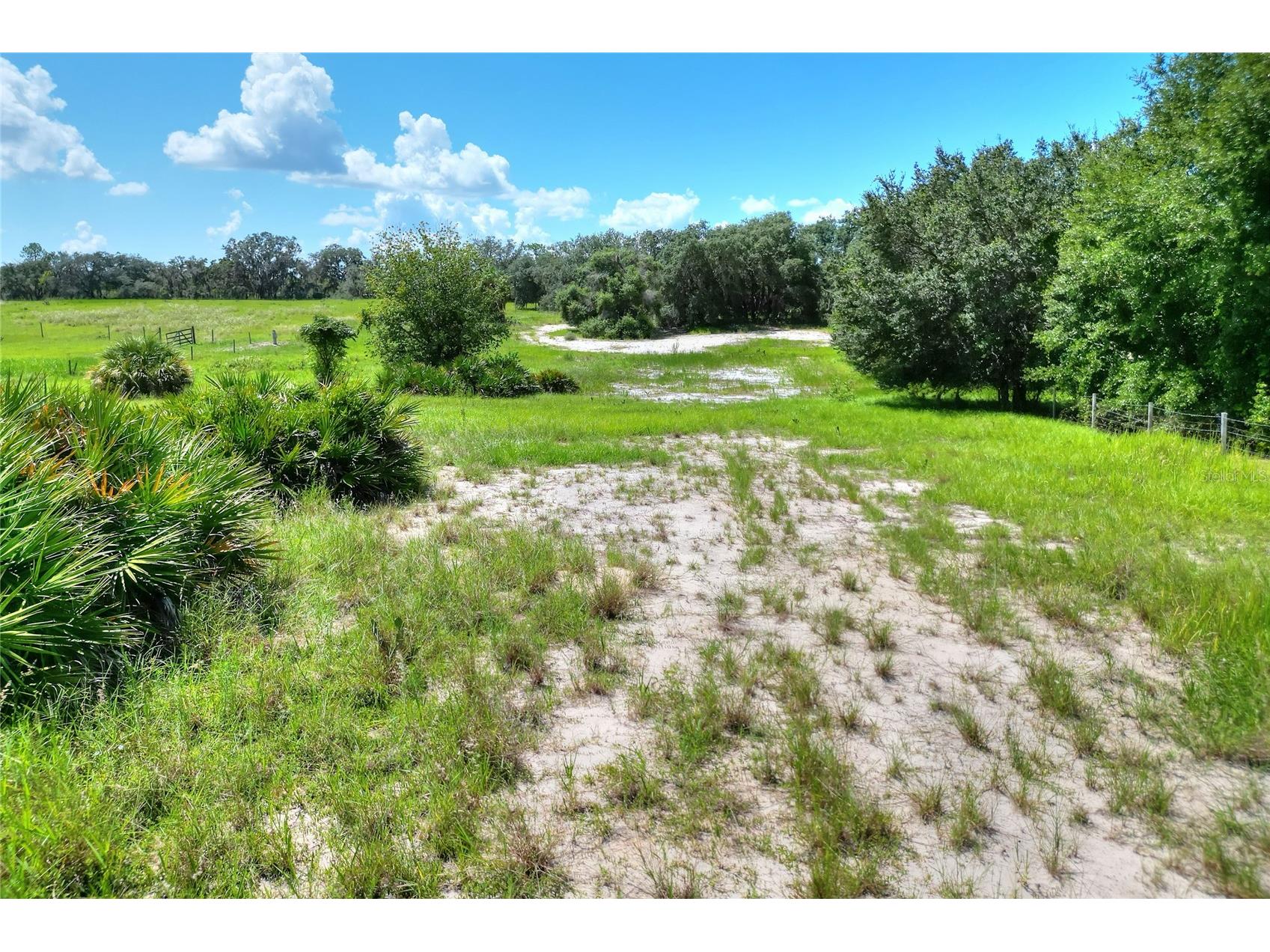 Anderson Road Lake Wales FL 33898 T3552015 image4