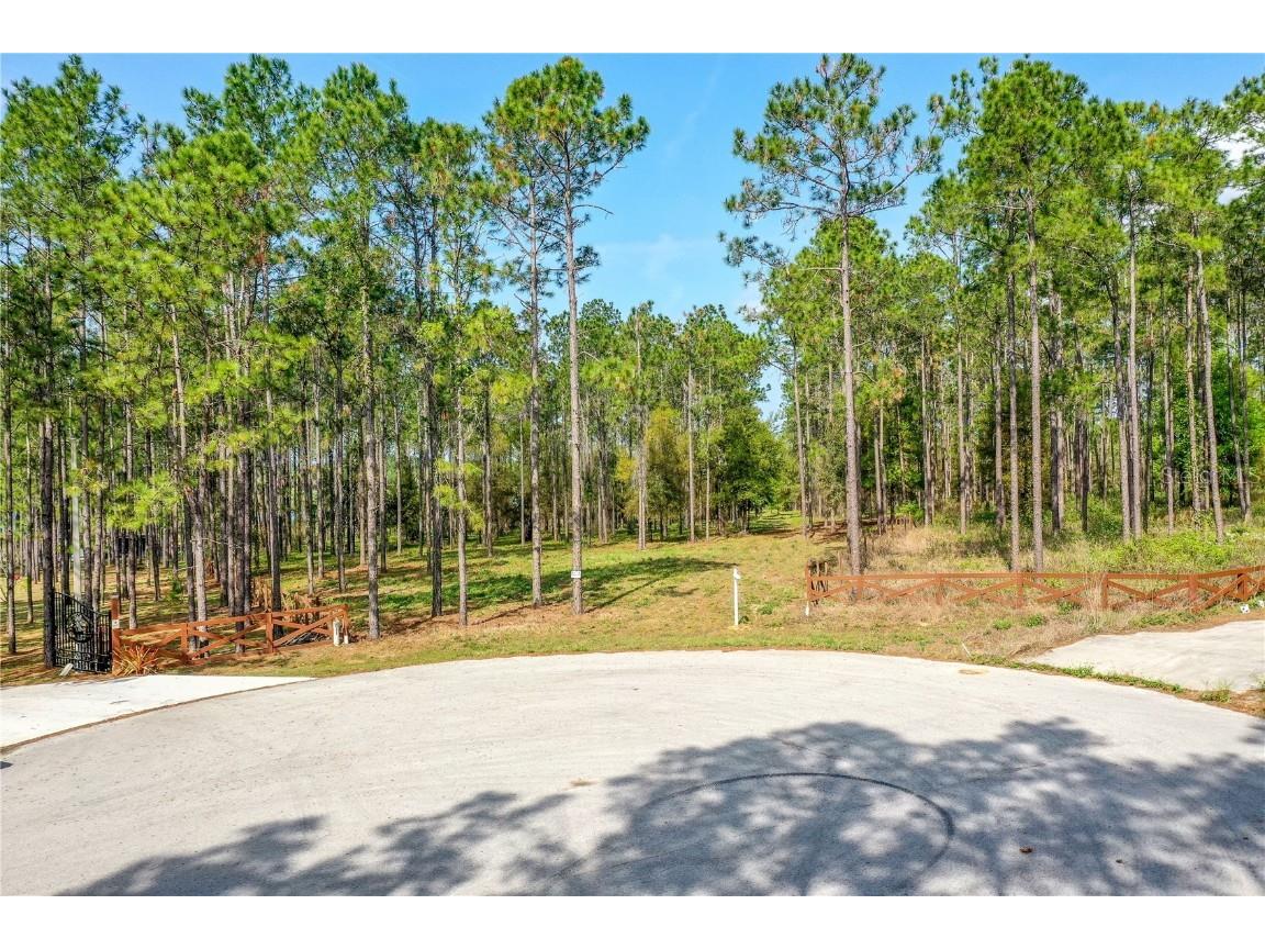Angels Landing Court Clermont FL 34715 O6094669 image1