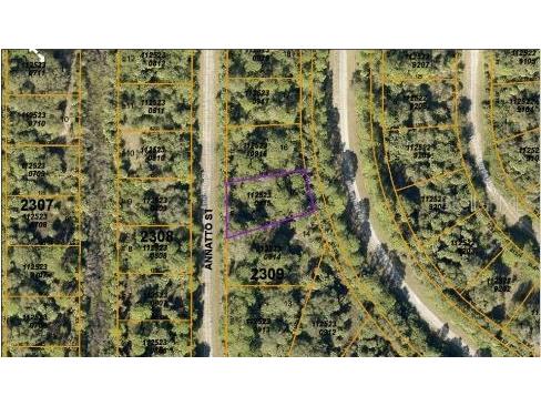 Annatto Street North Port FL 34288 O6188380 image3