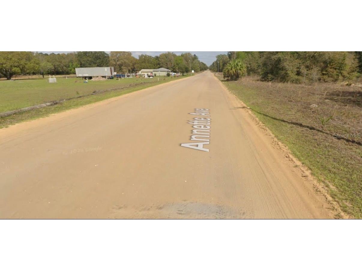Annette Ave Interlachen FL 32148 A4694562 image2