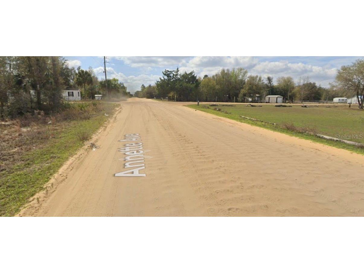 Annette Ave Interlachen FL 32148 A4694562 image3