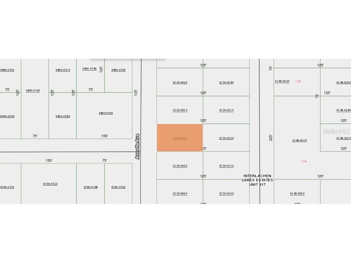 Annette Ave Interlachen FL 32148 A4694562 image5