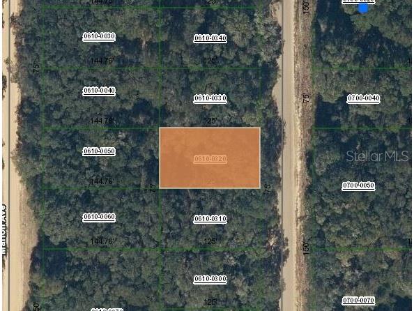 Annette Avenue Interlachen FL 32148 OM696784 image1