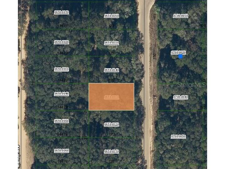 Annette Avenue Interlachen FL 32148 OM696785 image1