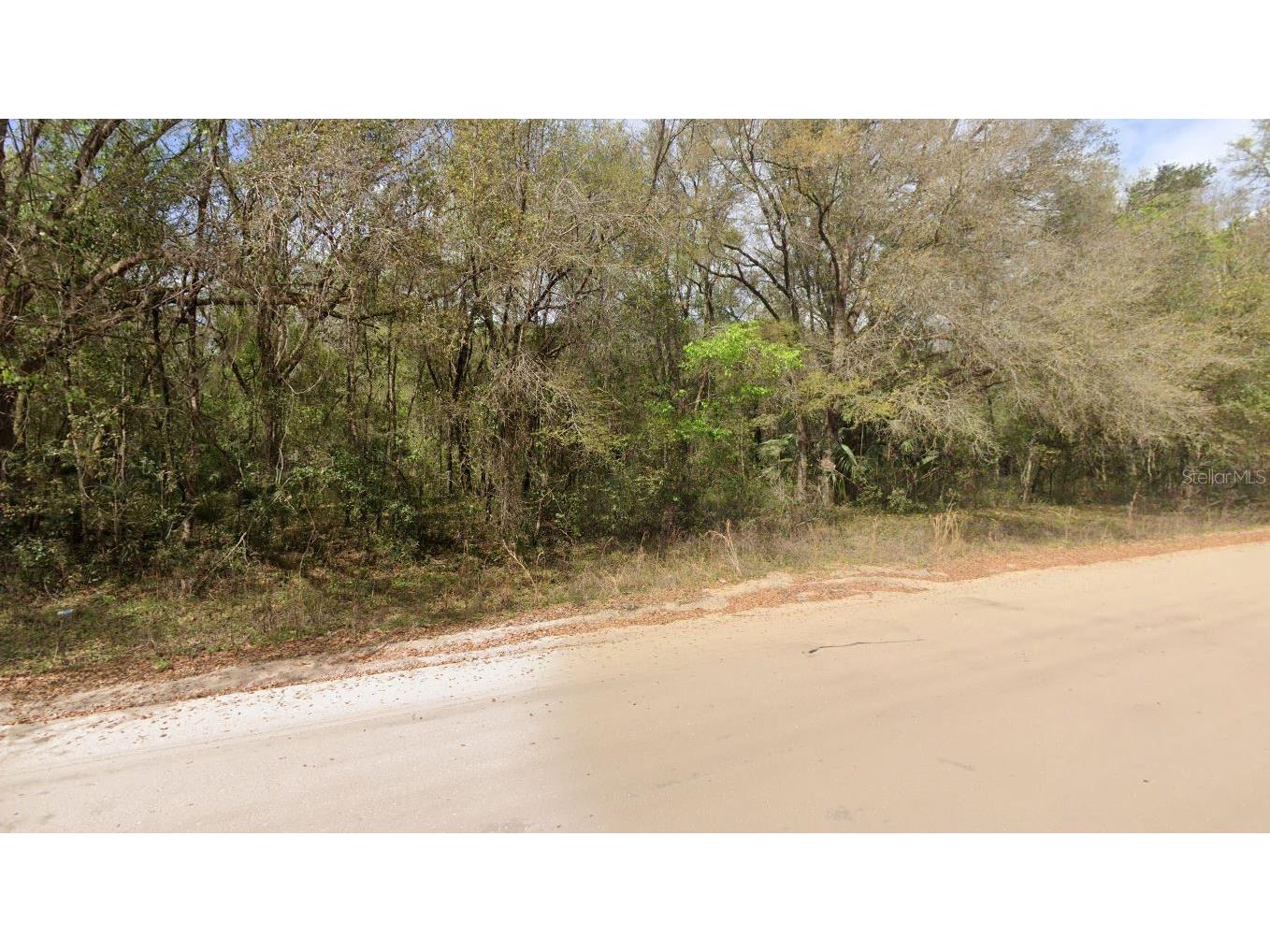 Annette Avenue Interlachen FL 32148 OM696785 image3