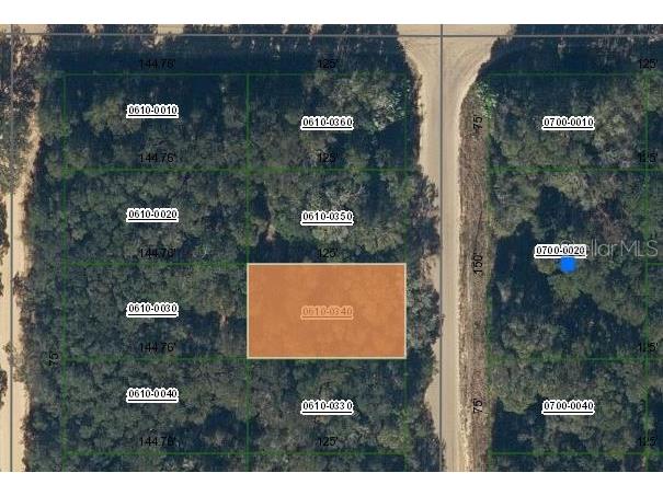 Annette Avenue Interlachen FL 32148 OM696787 image1