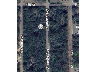 Annette Avenue Interlachen FL 32148 OM696787 image2