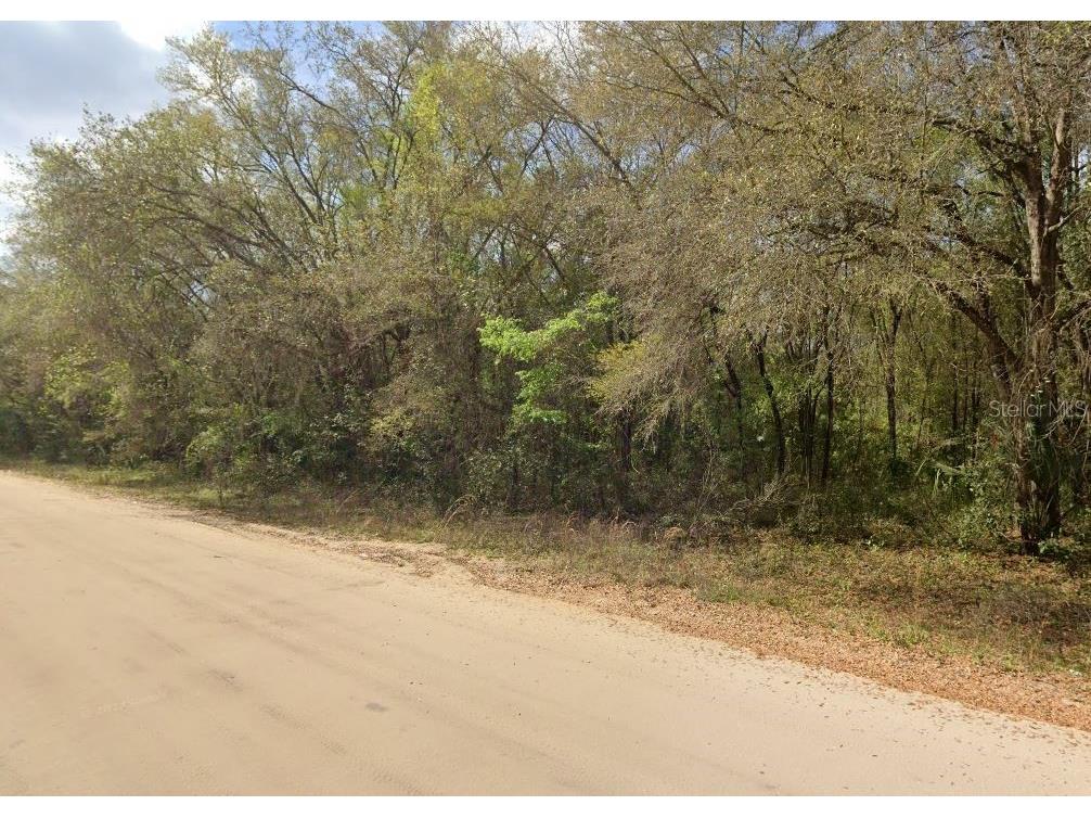 Annette Avenue Interlachen FL 32148 OM696787 image4