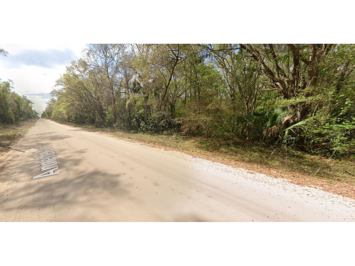 Annette Avenue Interlachen FL 32148 OM696787 image5