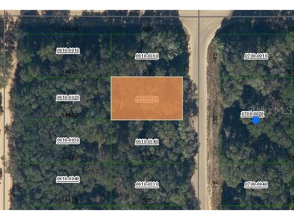 Annette Avenue Interlachen FL 32148 OM696790 image1