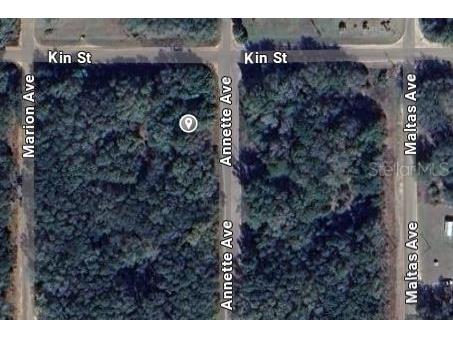 Annette Avenue Interlachen FL 32148 OM696790 image2