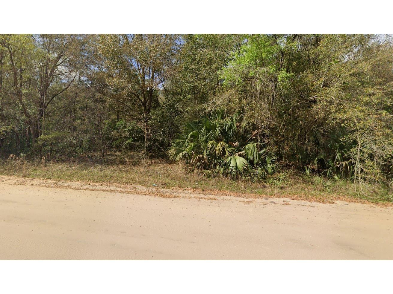 Annette Avenue Interlachen FL 32148 OM696790 image3