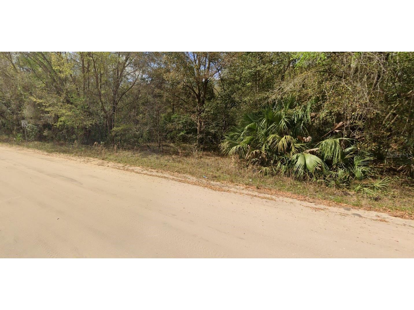 Annette Avenue Interlachen FL 32148 OM696790 image4