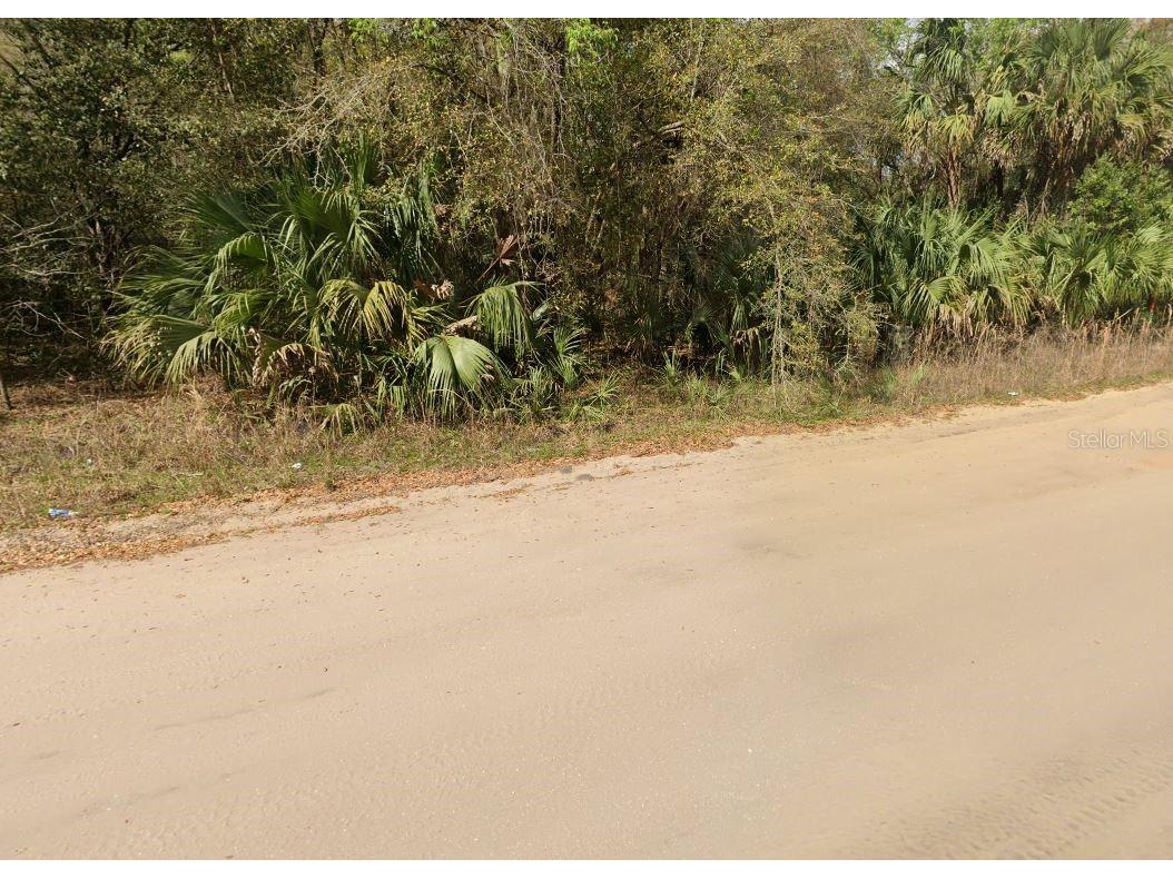 Annette Avenue Interlachen FL 32148 OM696790 image5