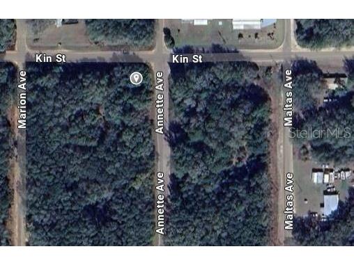 Annette Avenue Interlachen FL 32148 OM696793 image2