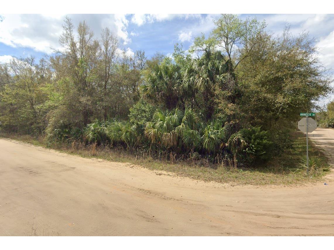 Annette Avenue Interlachen FL 32148 OM696793 image3