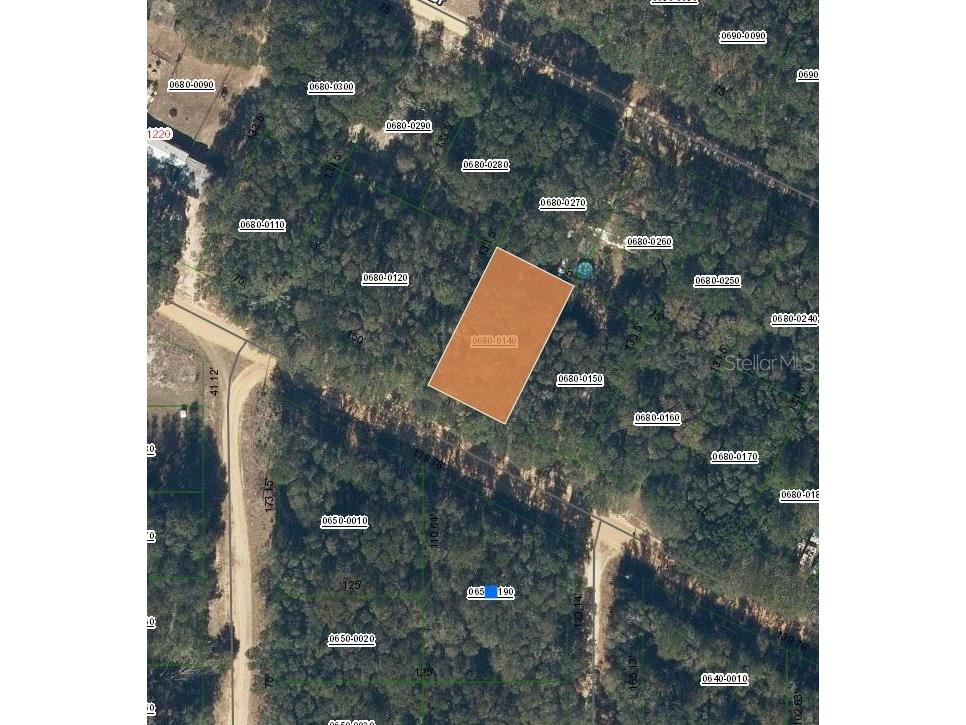 Annette Avenue Interlachen FL 32148 OM696794 image1