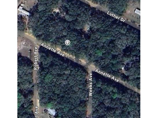 Annette Avenue Interlachen FL 32148 OM696794 image2
