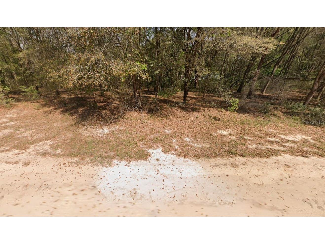 Annette Avenue Interlachen FL 32148 OM696794 image3