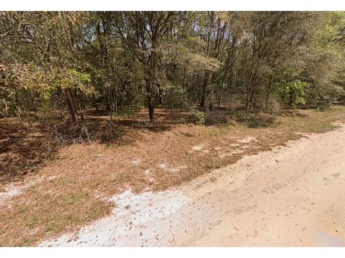 Annette Avenue Interlachen FL 32148 OM696794 image4