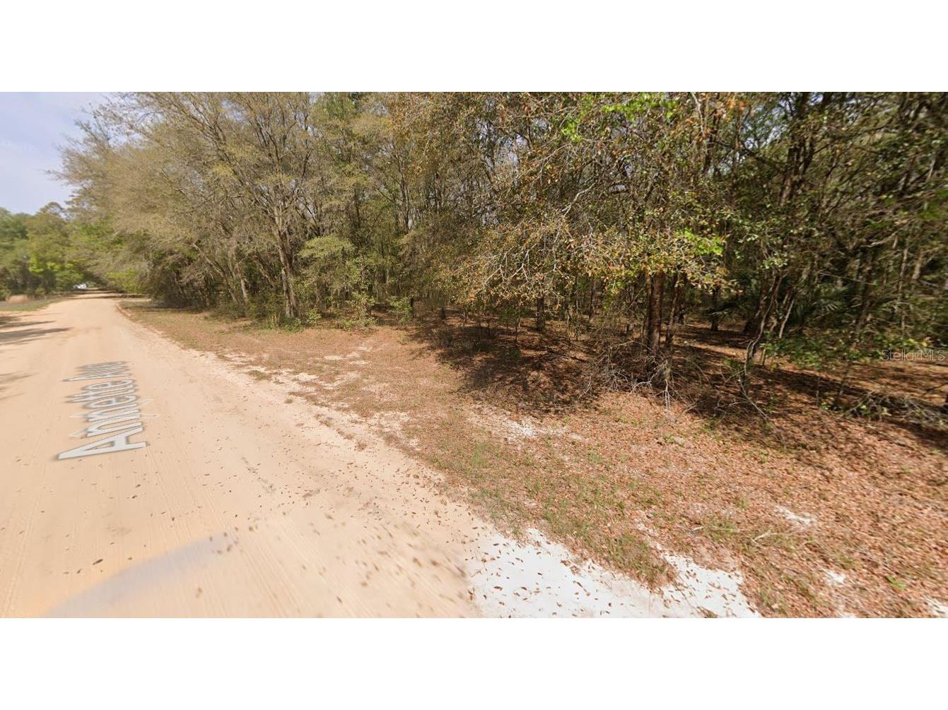 Annette Avenue Interlachen FL 32148 OM696794 image5