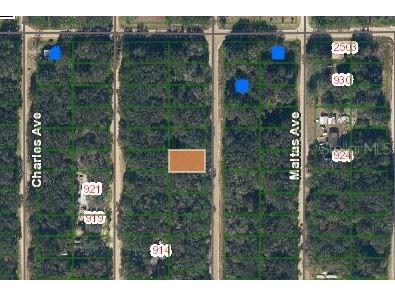 Annette Interlachen FL 32148 OM696757 image1