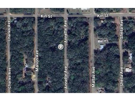 Annette Interlachen FL 32148 OM696757 image2