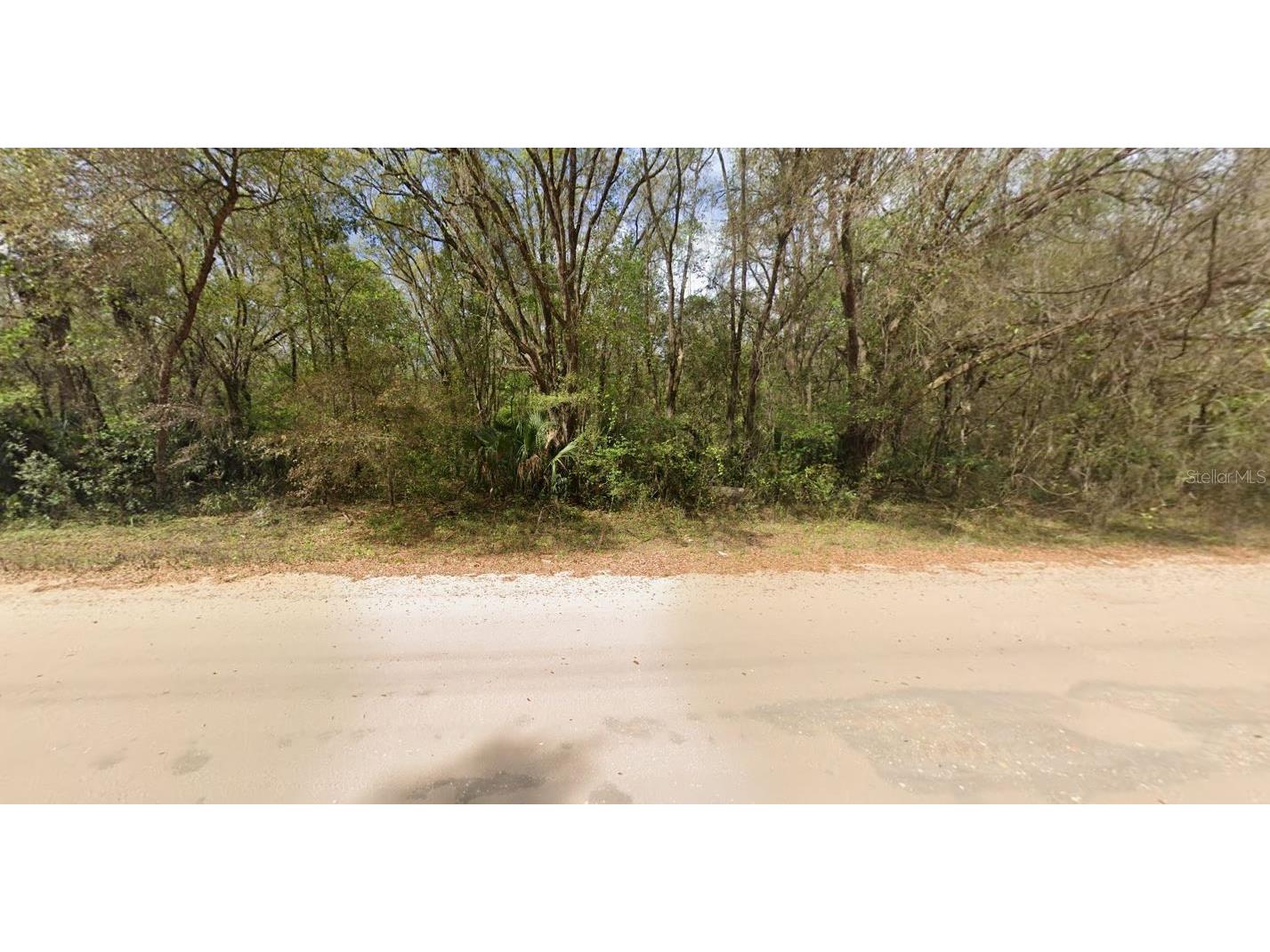 Annette Interlachen FL 32148 OM696757 image3