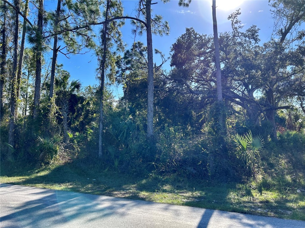 Anniston Rd North Port FL 34288 C7484706 image1