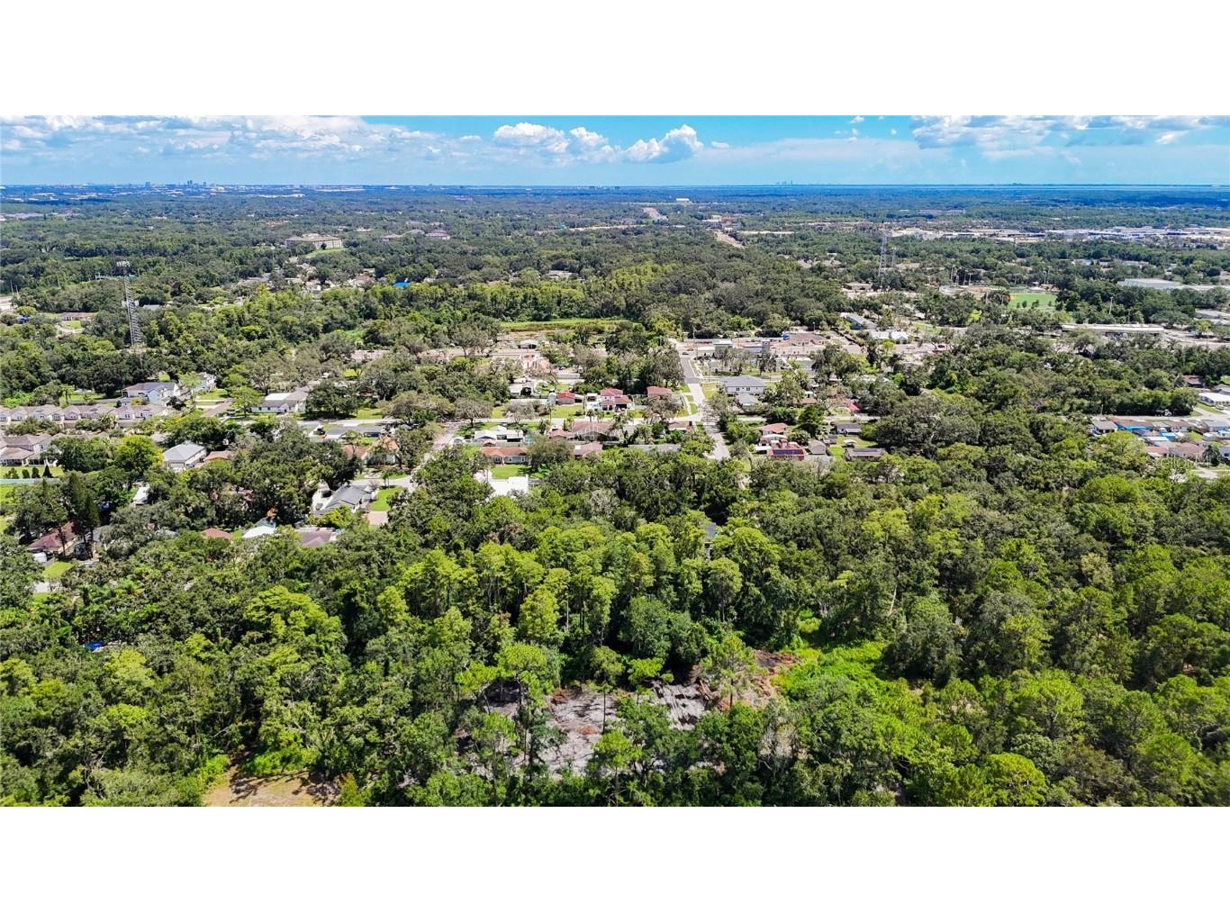 Anno Street Tampa FL 33625 TB8417683 image12